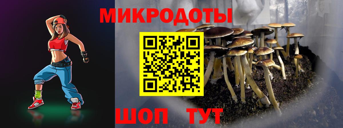 Псилоцибиновые грибы Cubensis  цена наркотик  Зима  Вход с VPN 